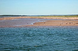 Bay of Fundy